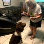 5000 mg CBD and more – Granbury, TX | Cannabis Shop – gallery image 2