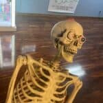 Store – gallery image 6