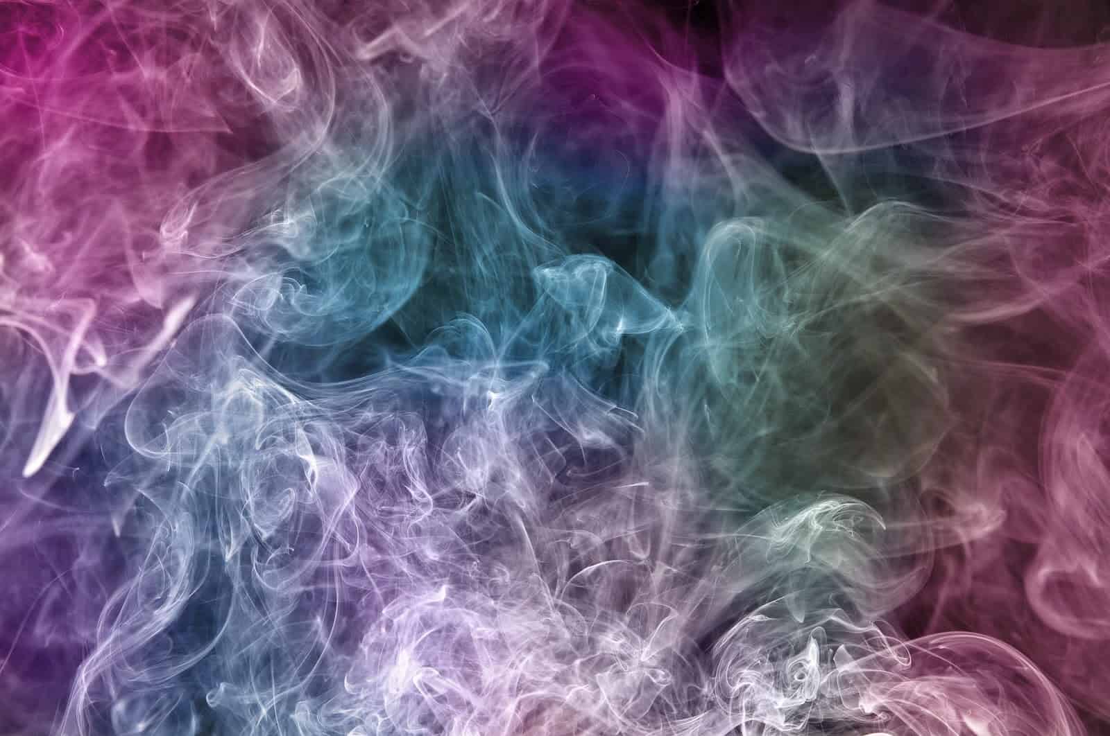 Store – gallery image 2