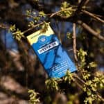 CBD Leafywell El Paso El Paso, TX | 5400 North Mesa Street, El Paso, Texas | Cannabis Shop – gallery image 10