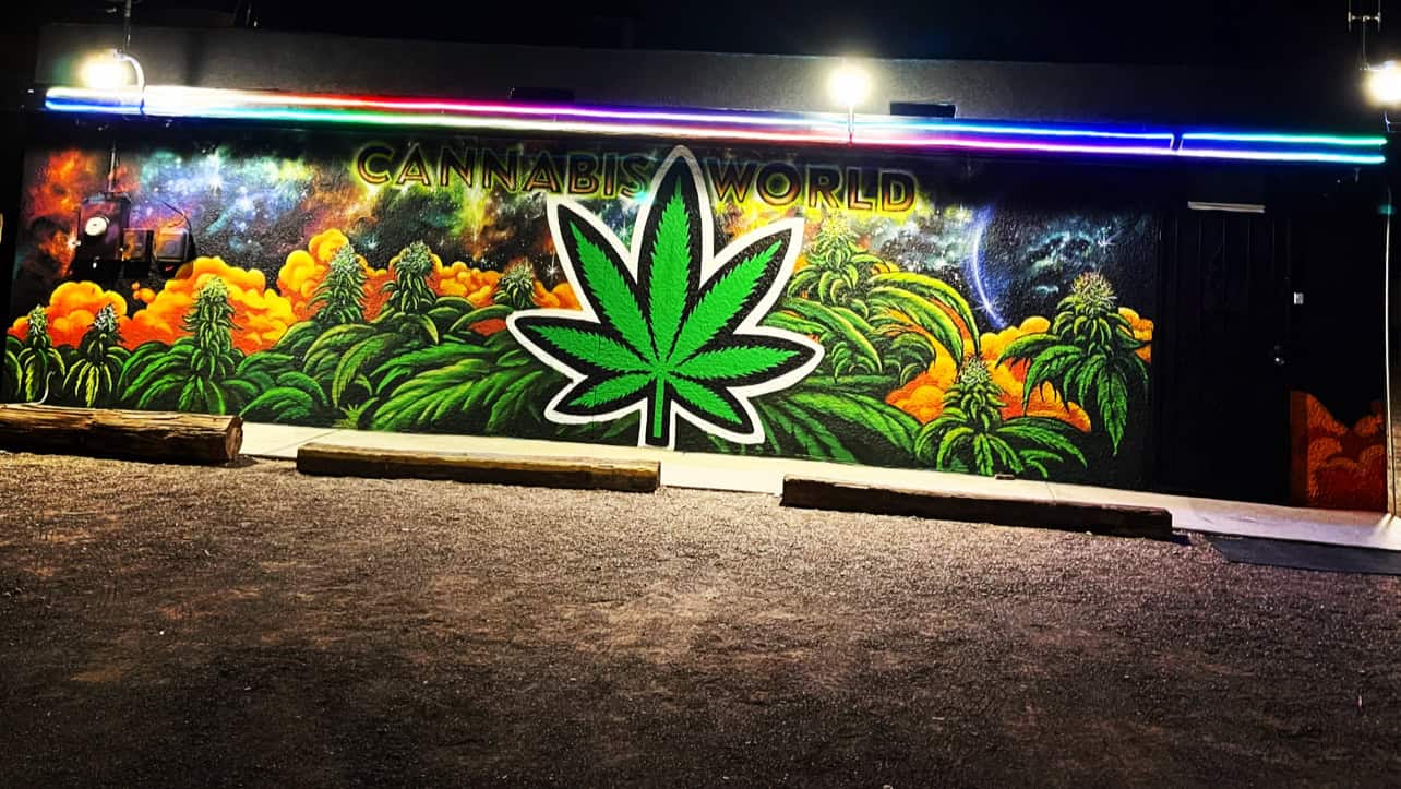 Store – gallery image 2