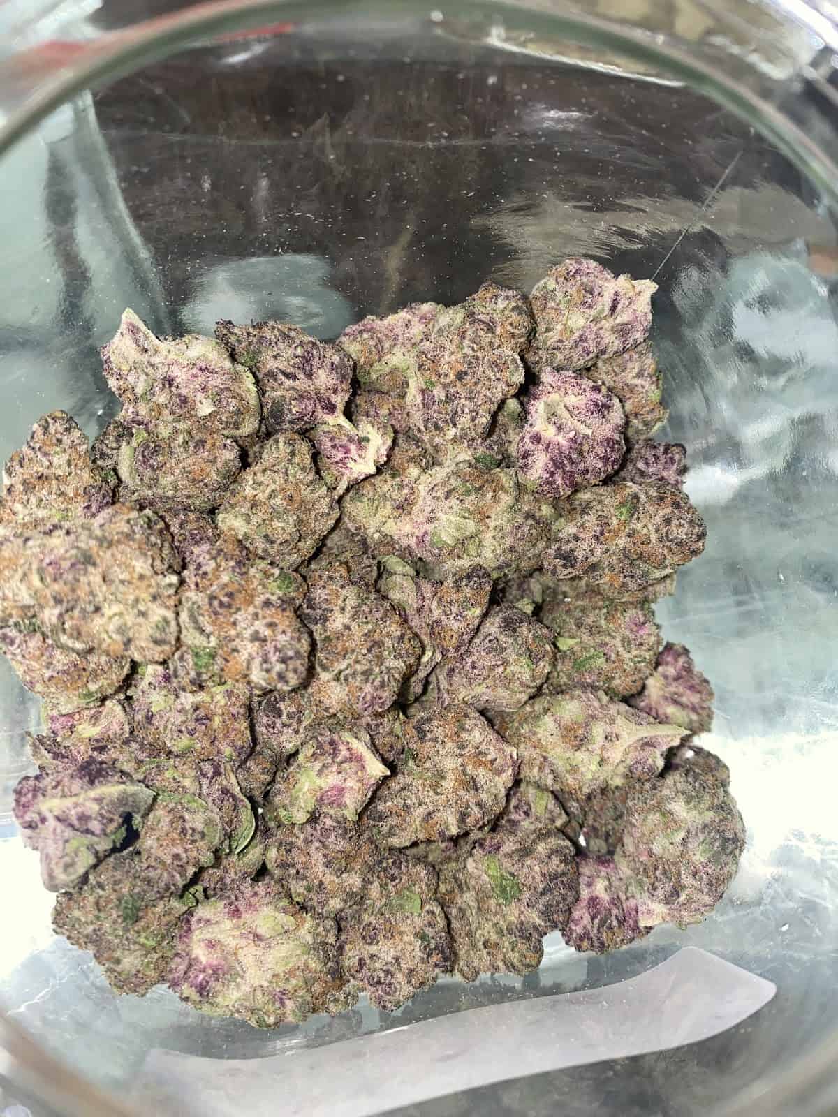 Store – gallery image 7