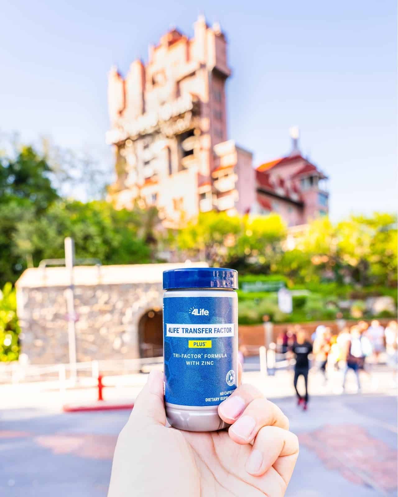 Store – gallery image 2