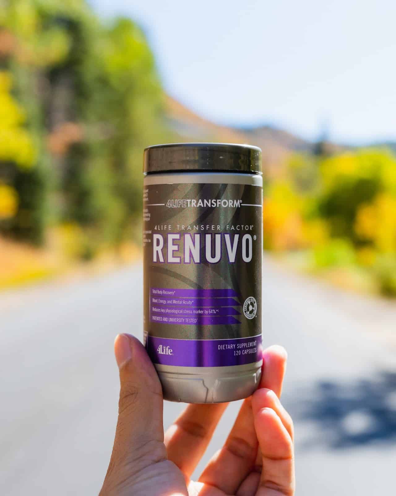 Store – gallery image 6