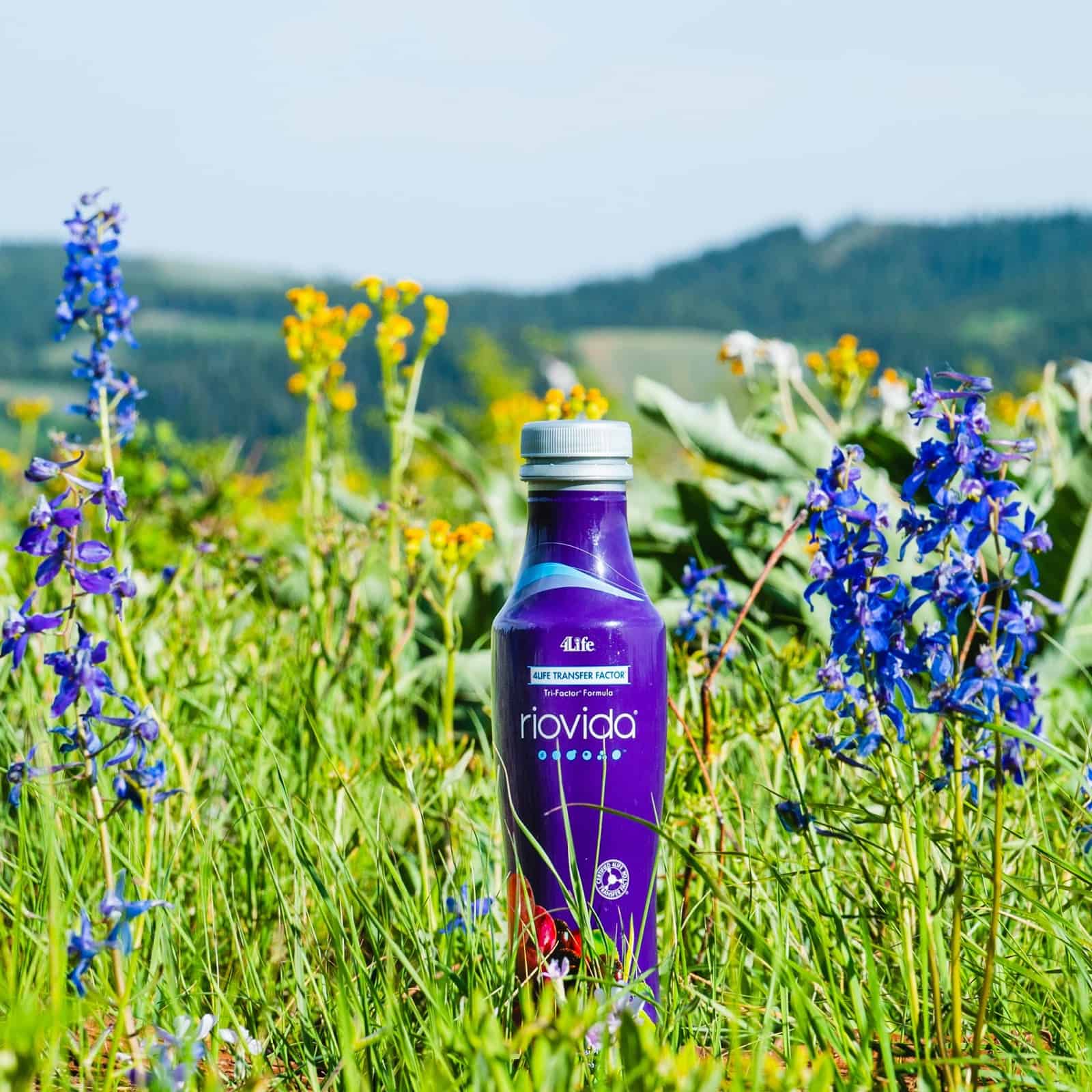 Store – gallery image 9