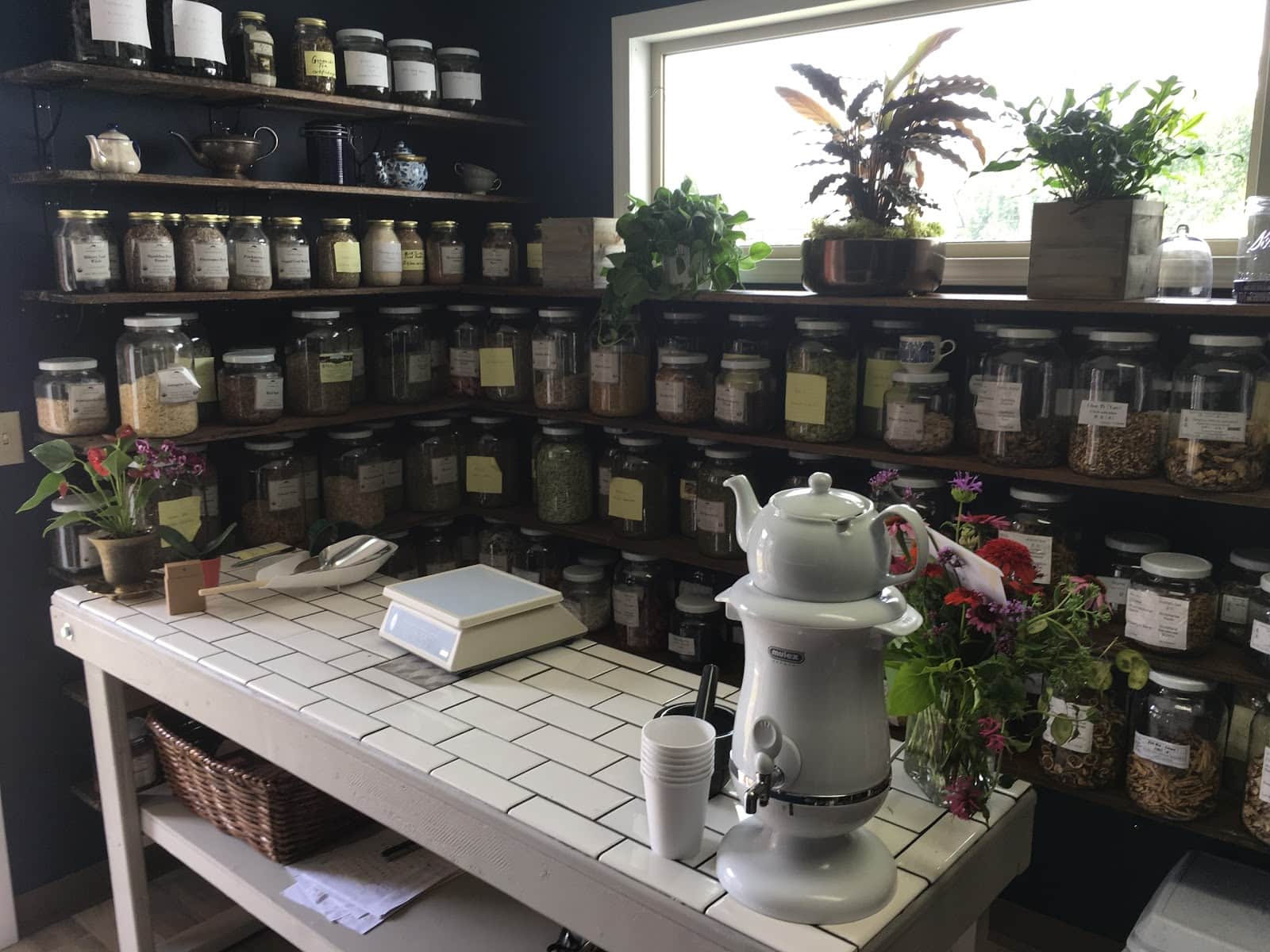 Main Store Image