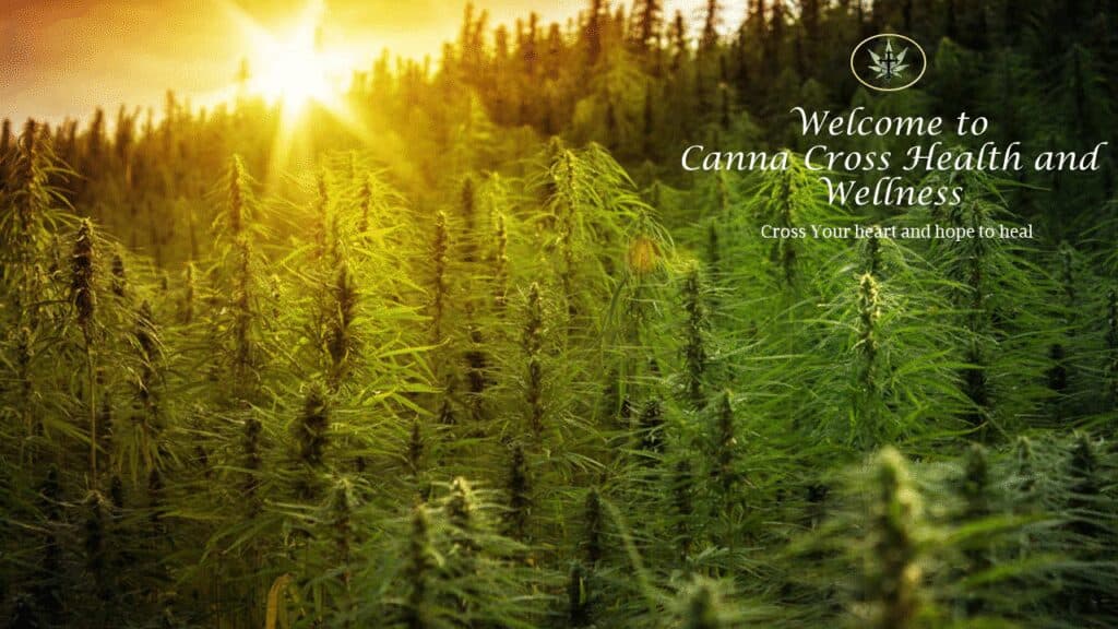 Store – main photo