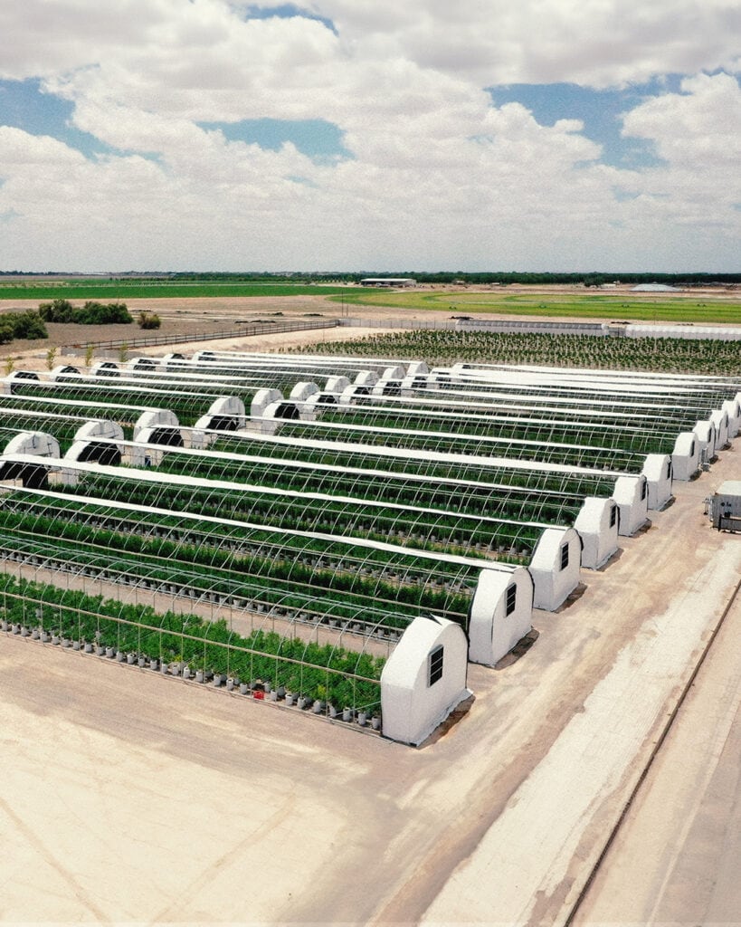 Store – main photo