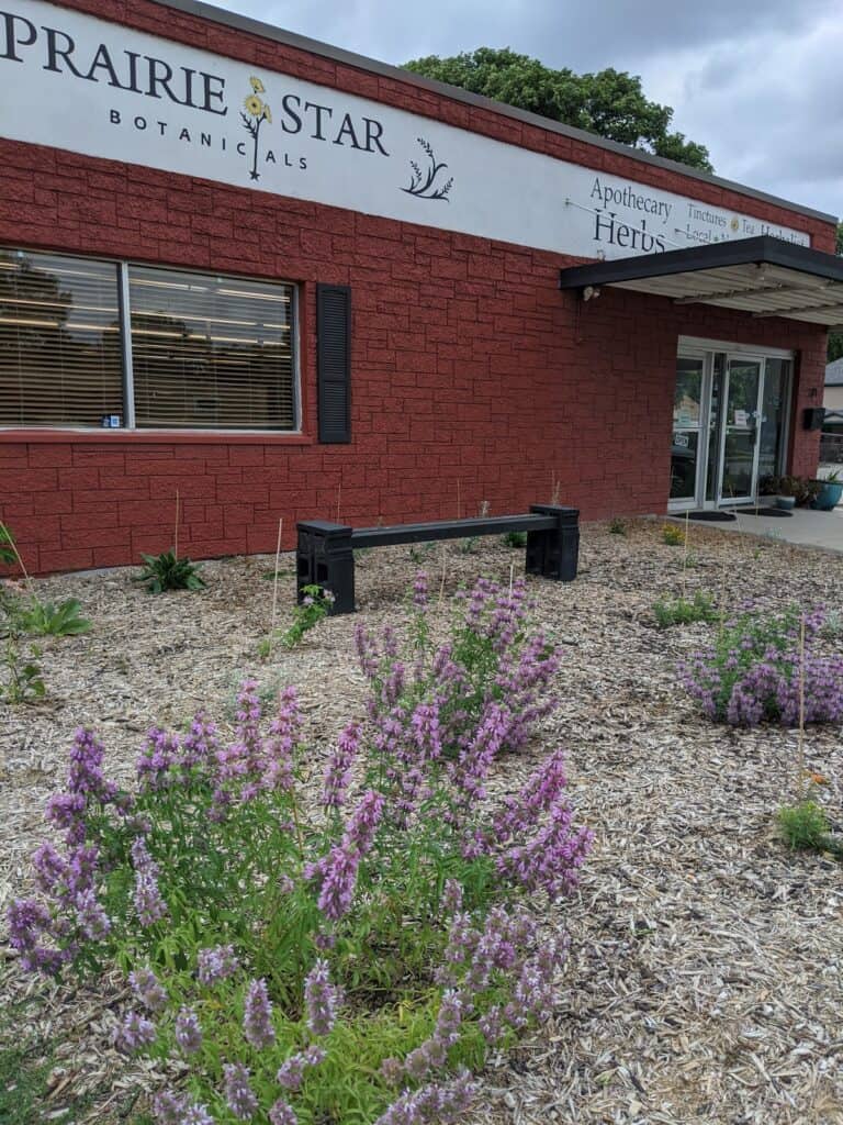 Store – main photo