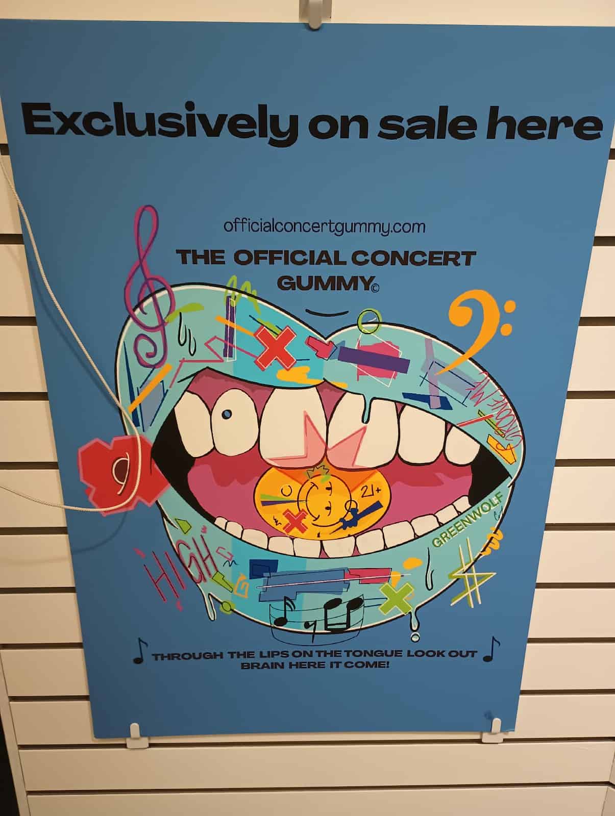 Main Store Image
