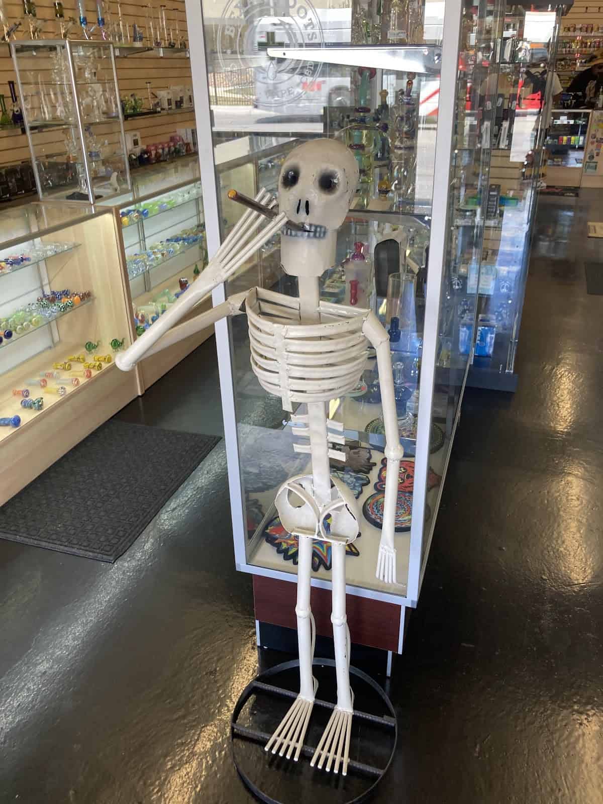 Store – gallery image 6