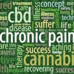 Store – gallery image 10