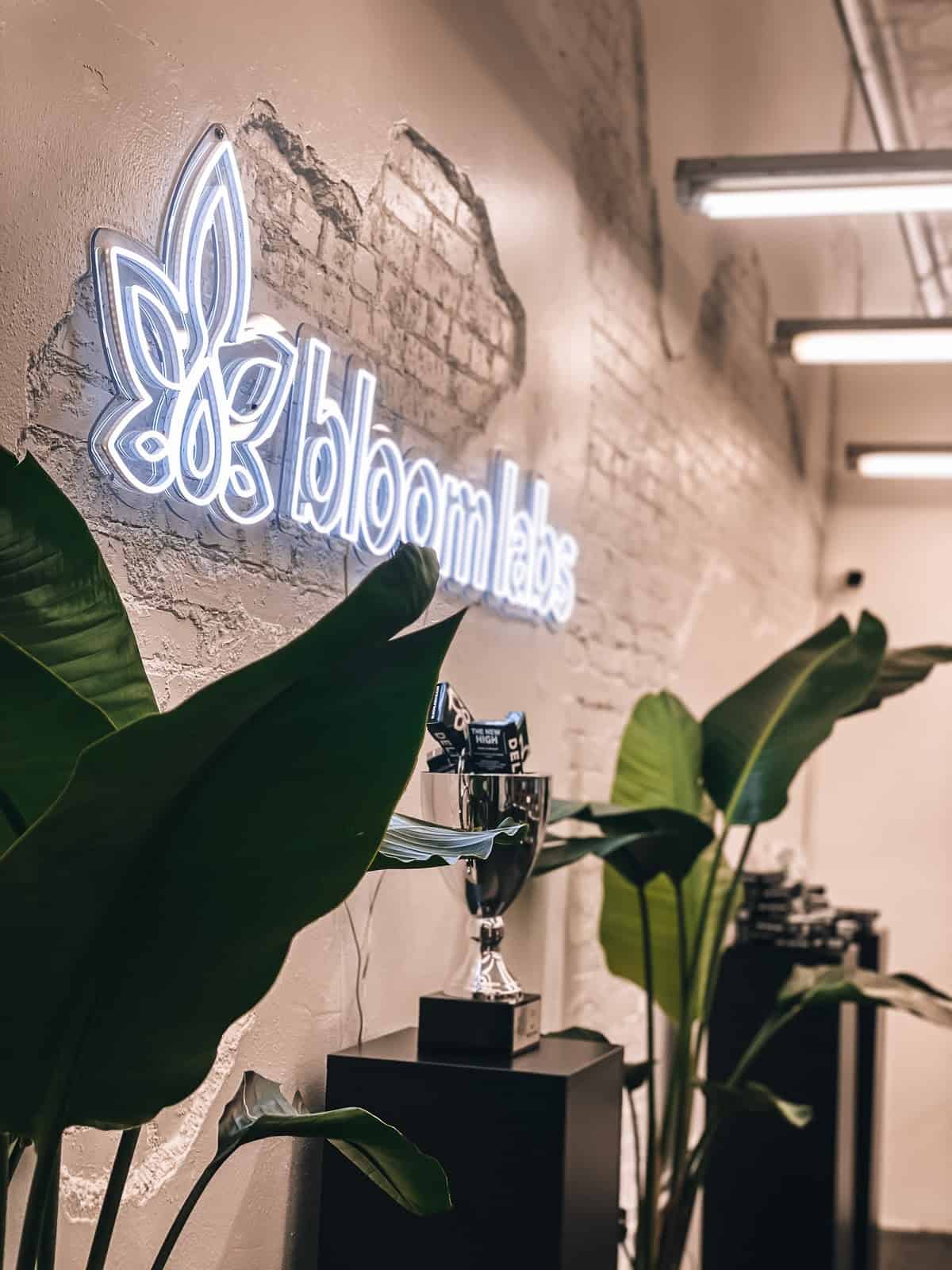 Store – gallery image 2