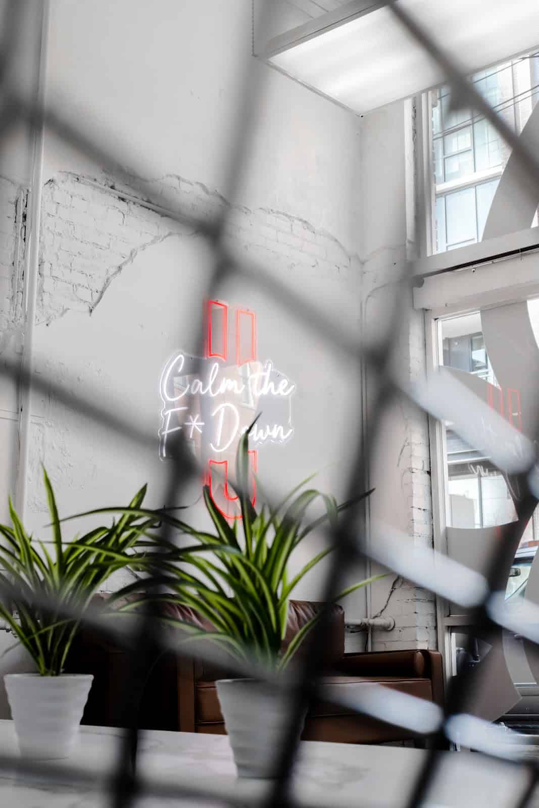 Store – gallery image 4