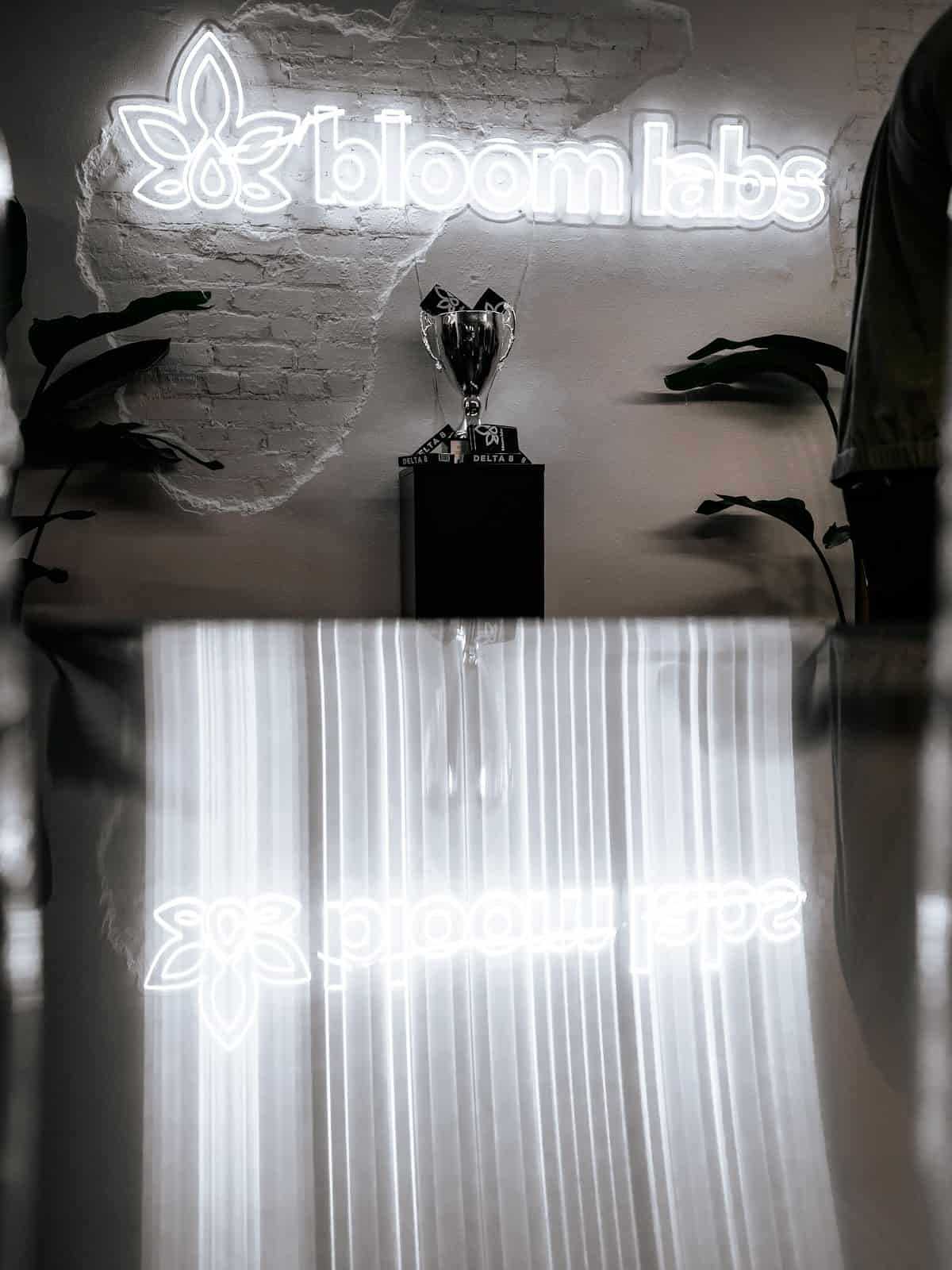 Store – gallery image 7