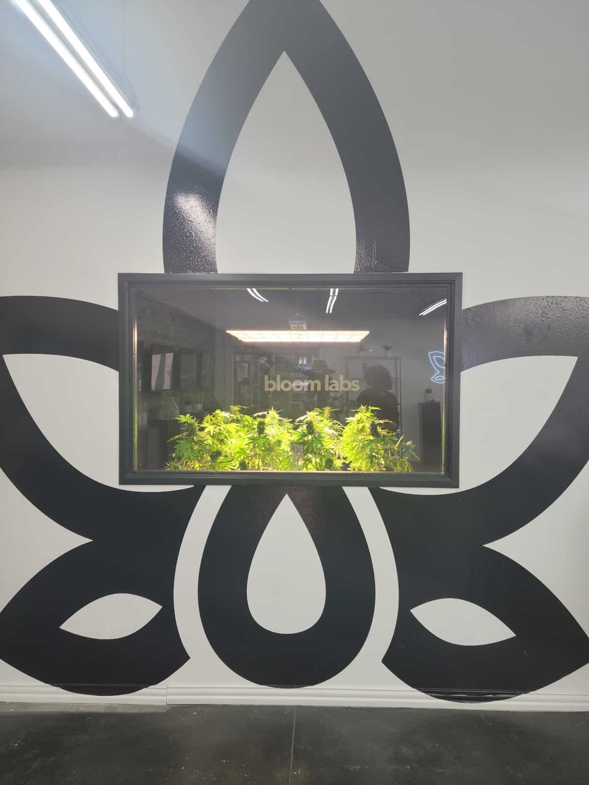 Store – gallery image 8