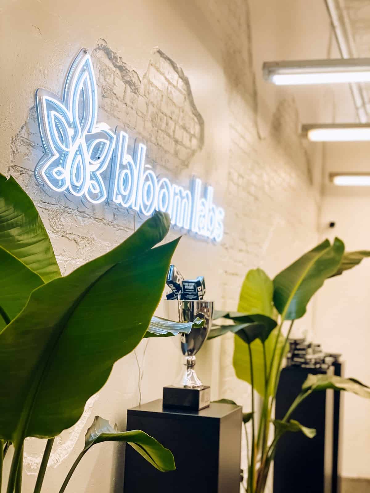 Store – gallery image 10