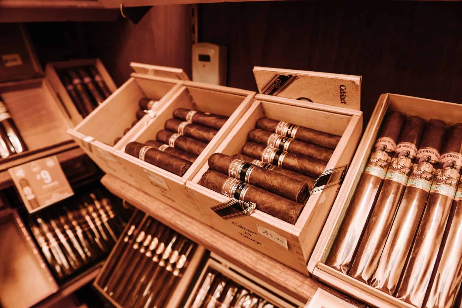 Store – gallery image 4