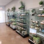 Store – gallery image 7