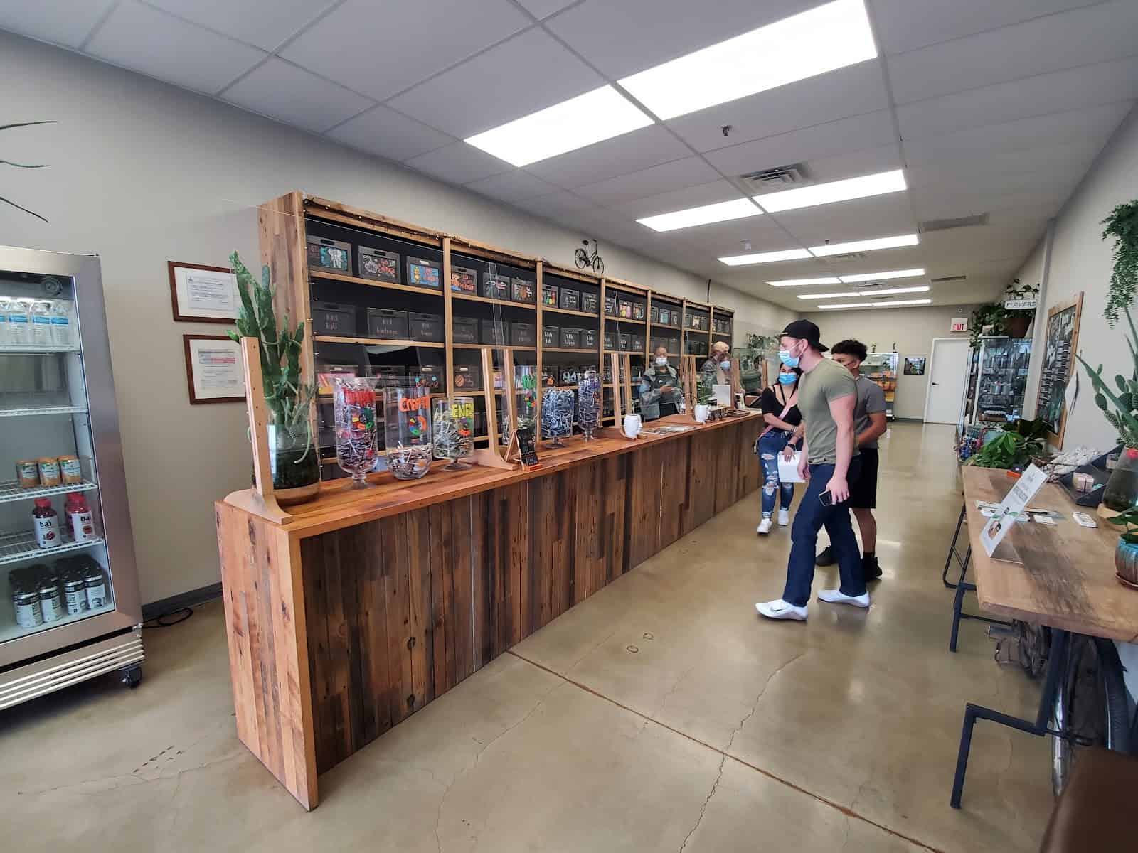Gallery Image 8