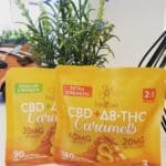 Store – gallery image 3