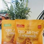 Store – gallery image 6