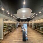 Store – gallery image 2