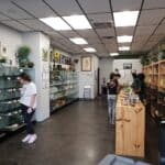 Store – gallery image 4