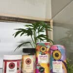 Store – gallery image 7