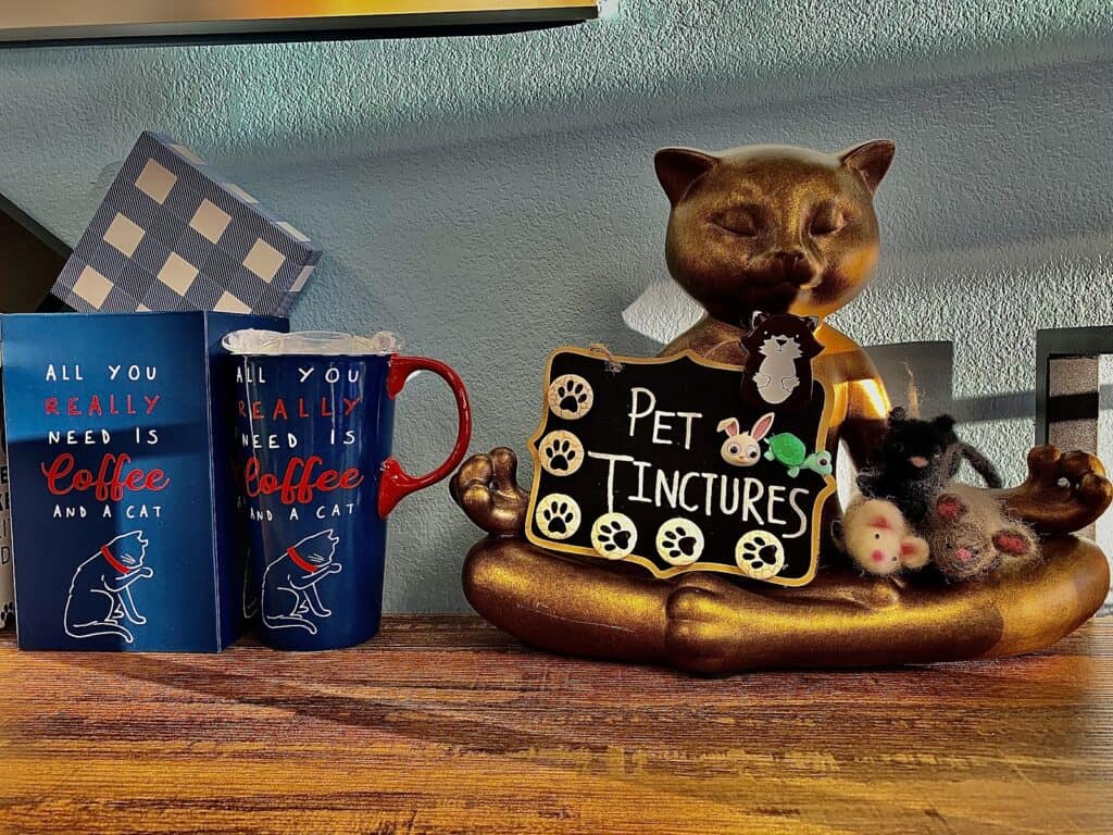 Store – main photo