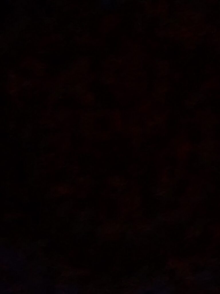 Store – main photo