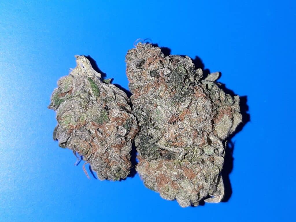 Store – main photo