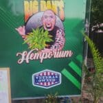 Store – gallery image 3