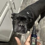 Store – gallery image 9