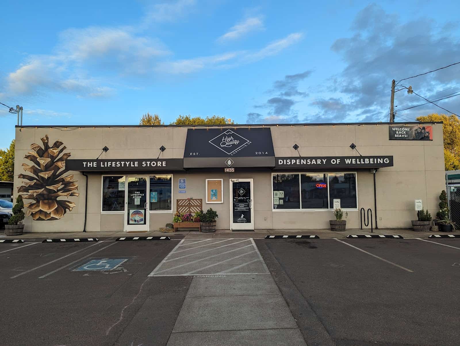 Main Store Image