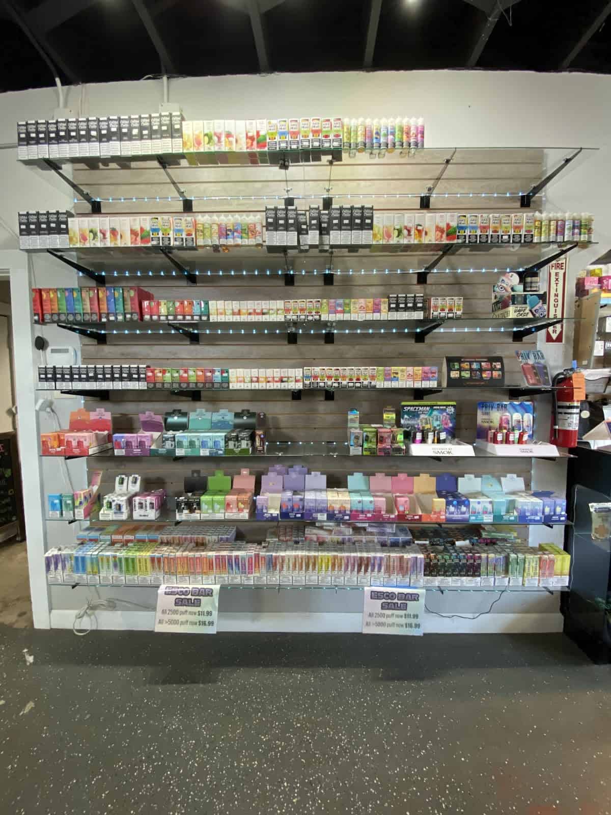 Gallery Image 7