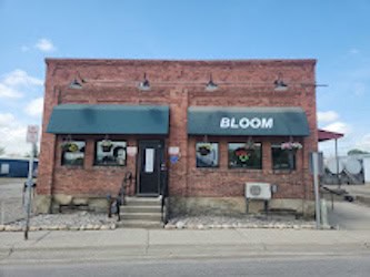 Main Store Image