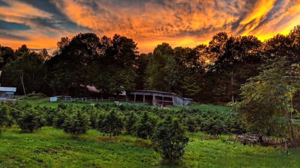 Store – main photo