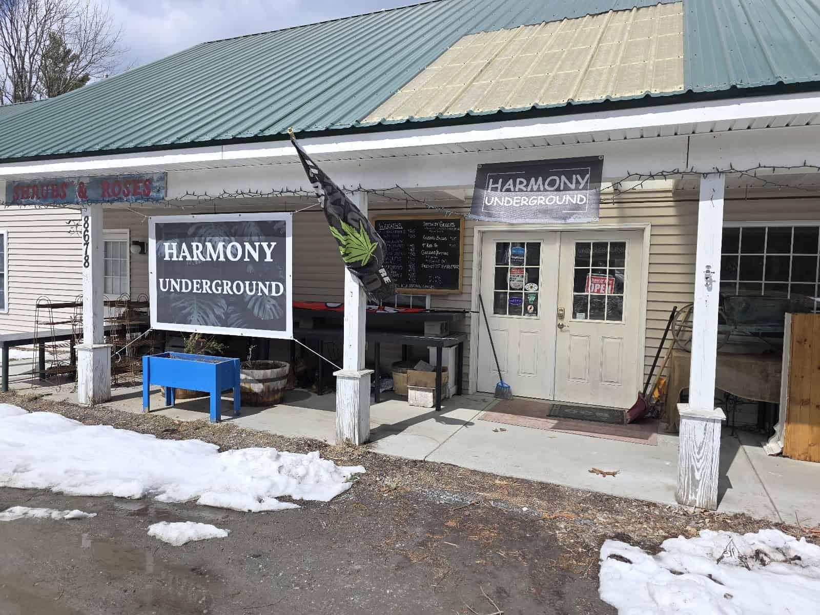 Main Store Image
