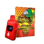 Store – gallery image 1