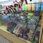 Cactus Smoke Shop – THC A │ CBD │ VAPE │ TOBACCO │ DISPOSABLES │ KRATOM │ HOOKAH │ GLASS – Tomball, TX | Cannabis Shop – gallery image 1