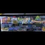 CBD Station First Colony Mall – Sugar Land, TX | Cannabis Shop – gallery image 9