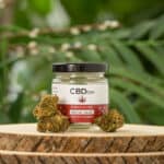 Store – gallery image 2