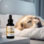 Store – gallery image 4