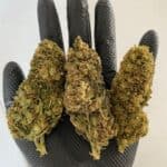 Store – gallery image 5