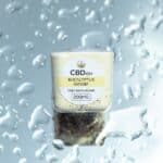 Store – gallery image 6