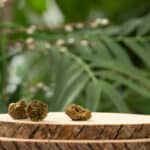 Store – gallery image 10