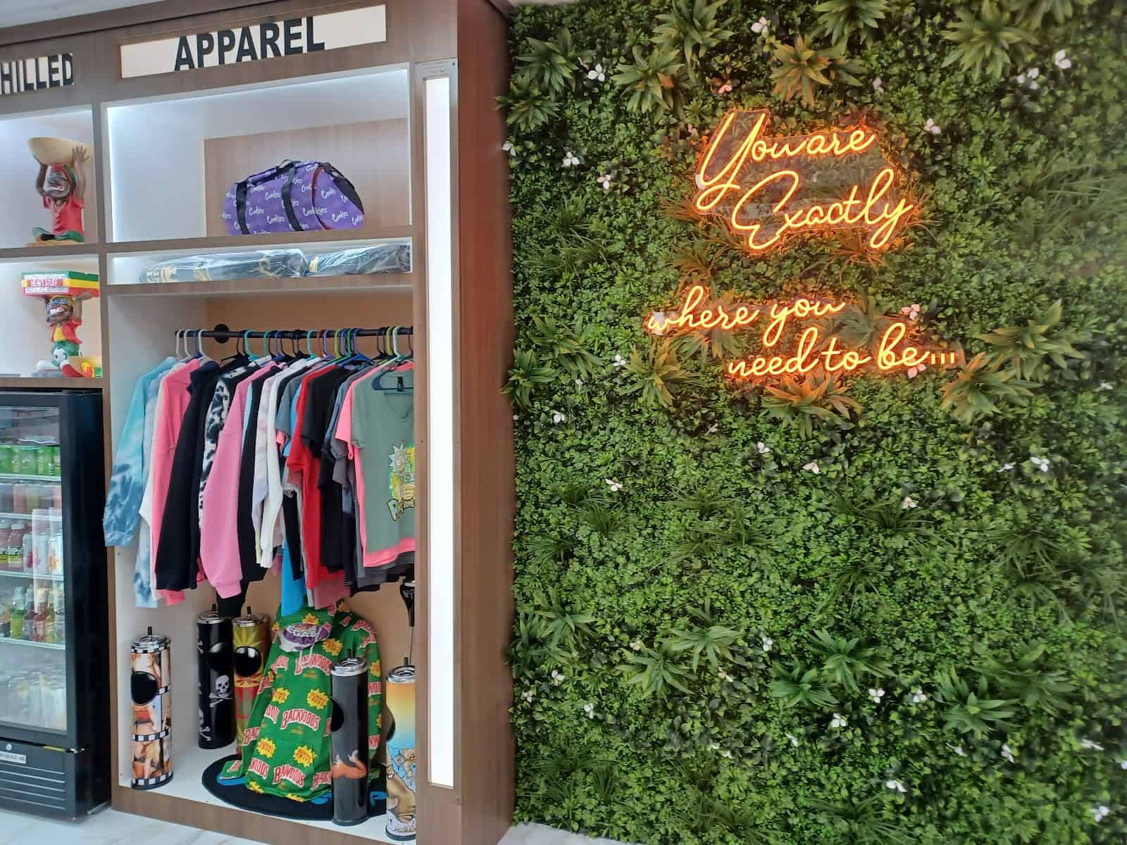 Main Store Image