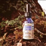 Store – gallery image 4