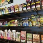 Store – gallery image 2